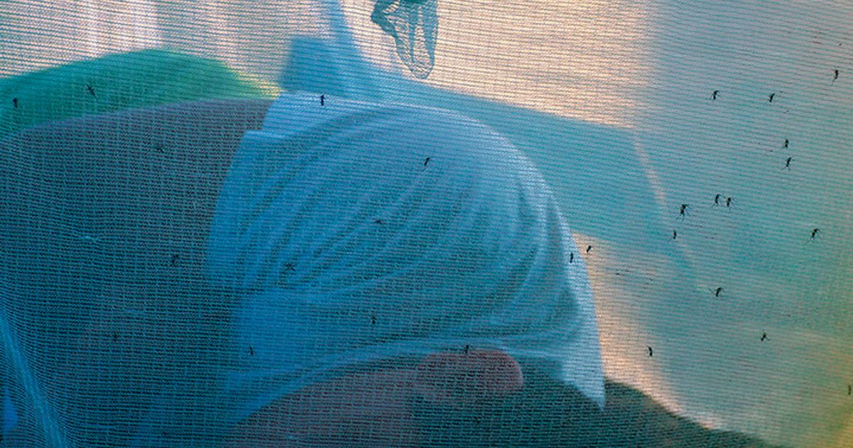 Vooralsnog geen denguevaccinatie aanbieden op de Caribische eilanden